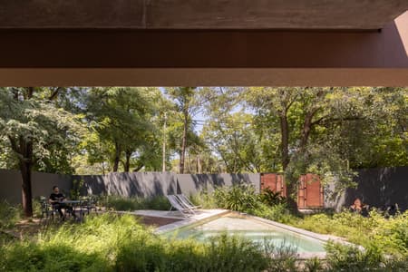 House around the Tree